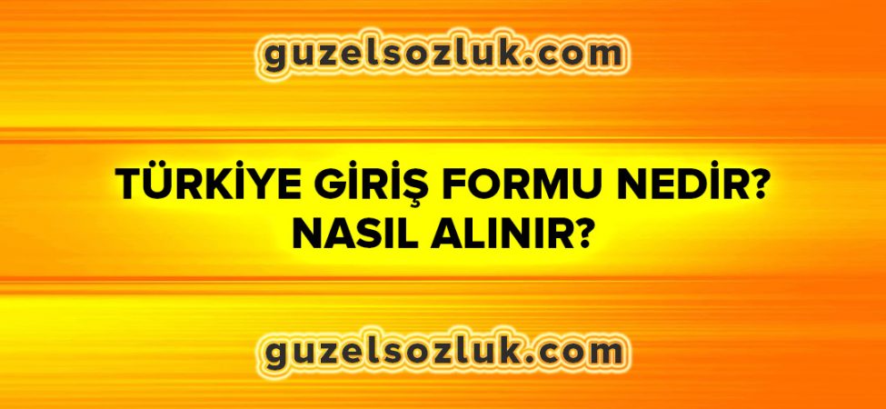Türkiye Giriş Formu Nedir ve Nasıl Alınır?