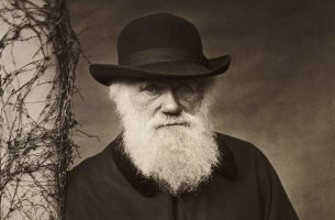 Charles-Darwin.jpg