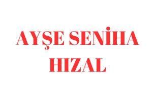 ayse-seniha-hizal-kim-nereli-esi-milletvekili-hayati-biyografi.jpg