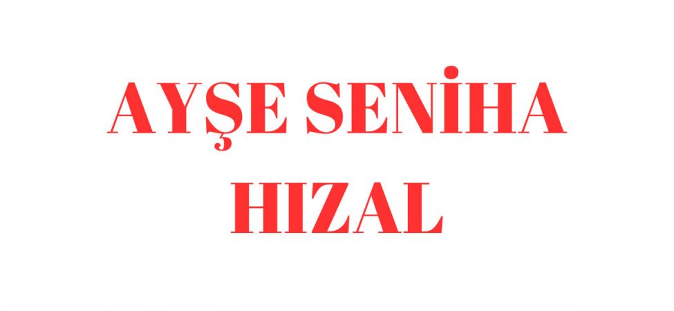 Ayşe Seniha Hızal Kimdir? Milletvekili, Nereli, Eşi, Hayatı